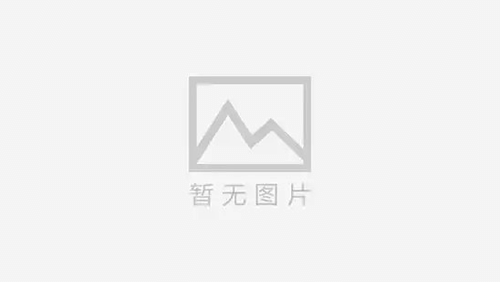雅安的寻人之旅：一位女士的故事